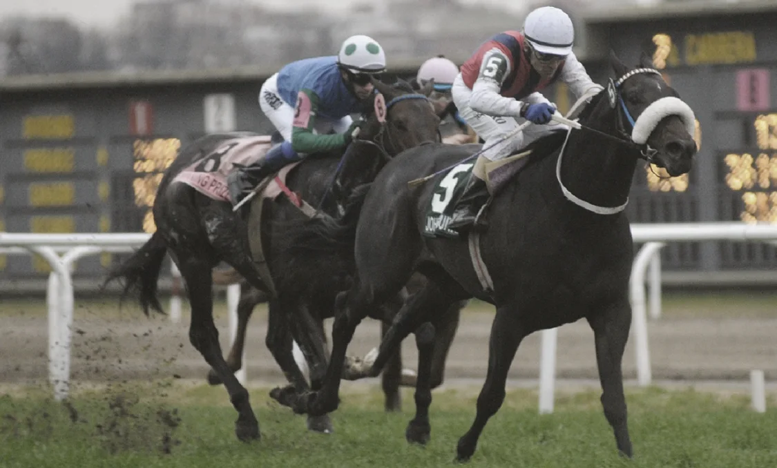 El Relator Wines — carrera en el hipódromo