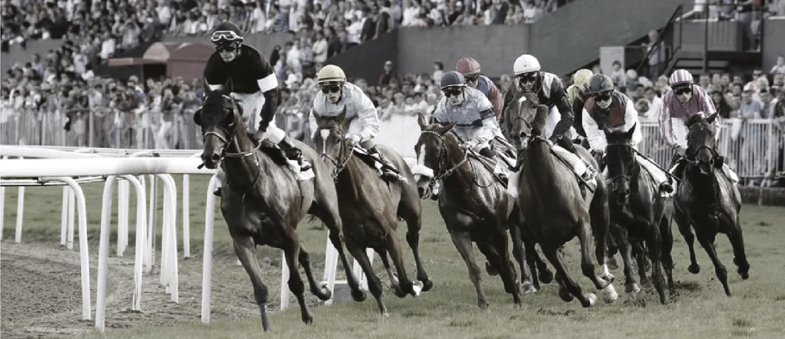 El Relator Wines — acción de carrera, cierre de la colección